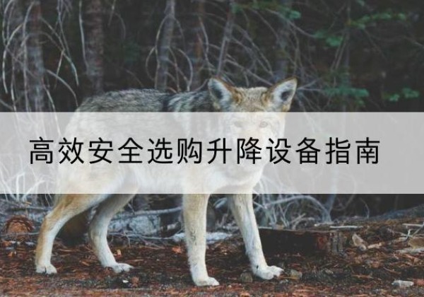 邵武升降货梯厂家推荐-*安全选购升降设备指南