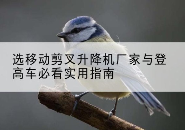 邵武电动升降机厂家-选移动剪叉升降机厂家与登高车必看实用指南