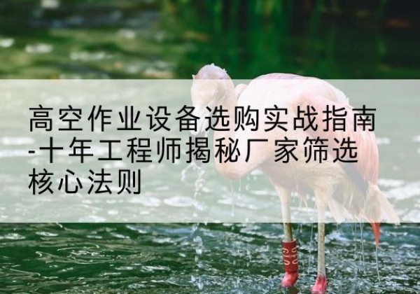 邵武剪叉式升降机厂家-高空作业设备选购实战指南-十年工程师揭秘厂家筛选核心法则