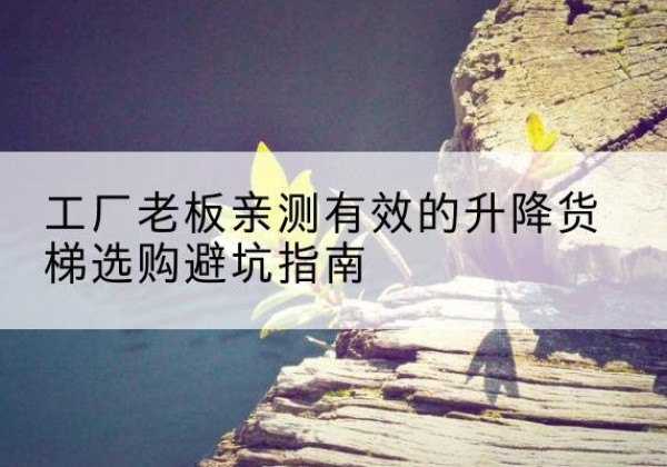 邵武升降货梯怎么选-工厂老板亲测有效的升降货梯选购避坑指南
